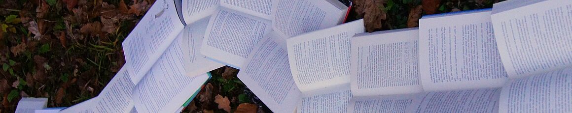 Bücher auf Herbstlaub